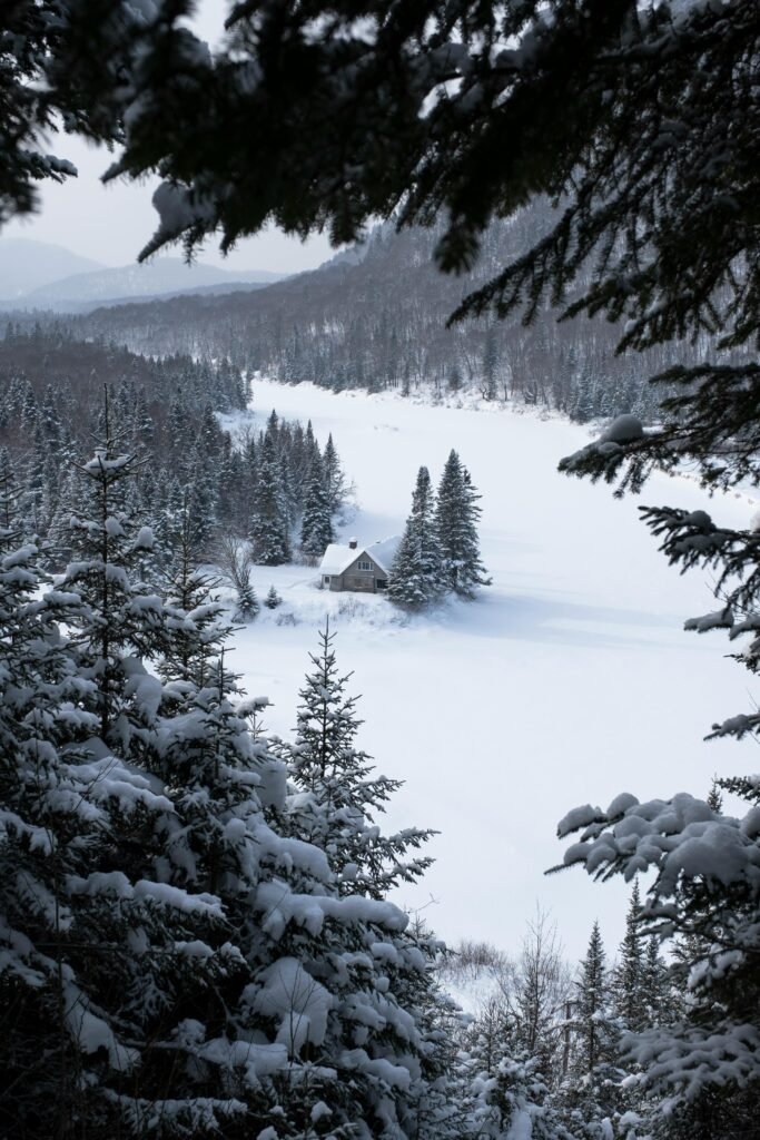 Are Cold Plunges Actually Beneficial?