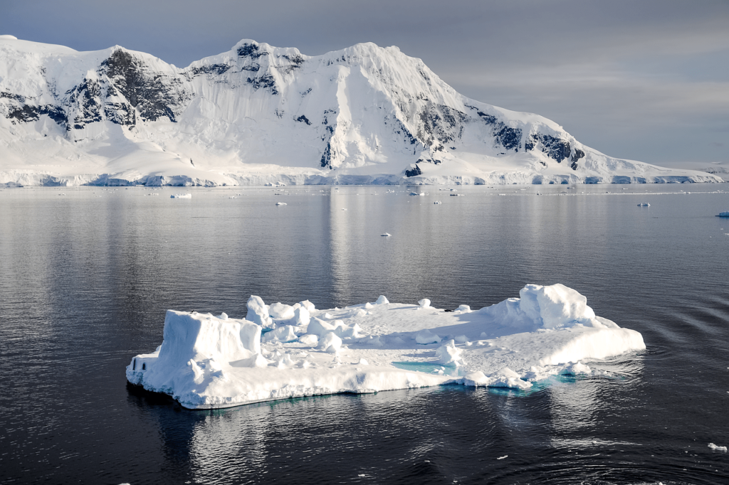 Do Bacteria Grow In Cold Plunges?