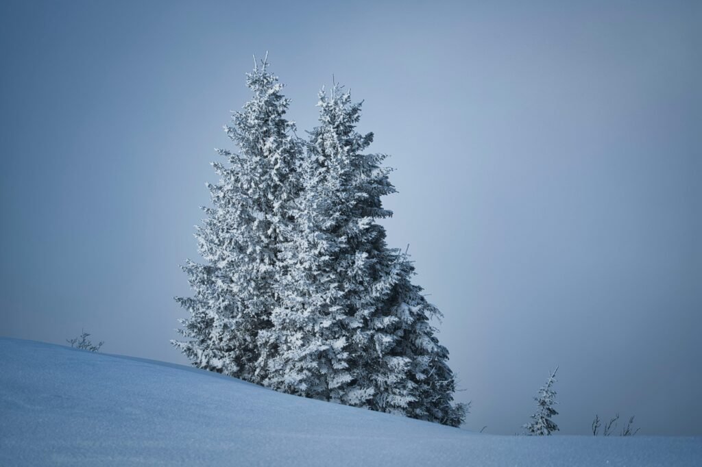 Is Buying A Cold Plunge Worth It?